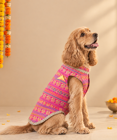 Haathi Motif Pink Kurta