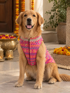 Haathi Motif Pink Kurta