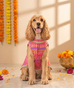 Haathi Motif Pink Kurta