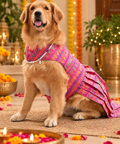 Haathi Motif Pink Dress