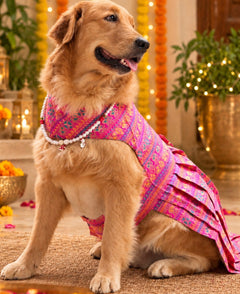Haathi Motif Pink Dress
