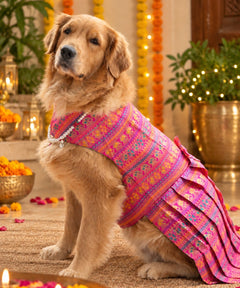Haathi Motif Pink Dress