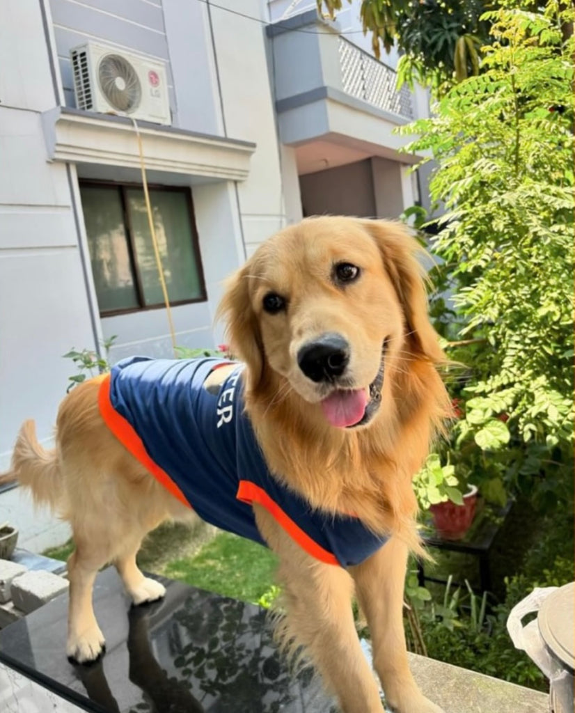 Pet Set Go - Pet Clothing, Pet Toys and Pet T-shirts