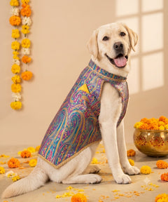 Dog Kurta with Pocket Square Neelam