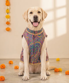 Dog Kurta with Pocket Square Neelam