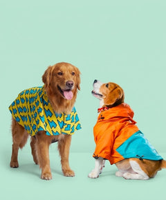 Drizzle Duo Raincoats Pack of 2