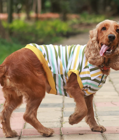 Multi-colour Striped Dog Polo Tee