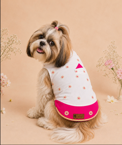 White-Pink Dog Kurta