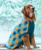 Checks Knit Dog Sweater