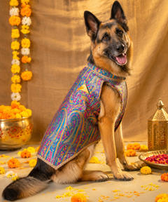 Dog Kurta with Pocket Square Neelam