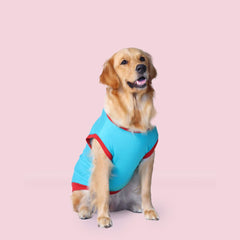 Favourite Child Dog T-shirt