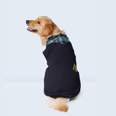 Black Polo Knit