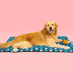 Dogmats-PetMats