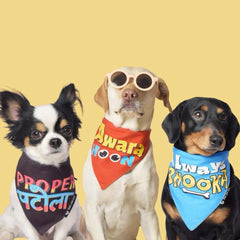 Naughty Bandanas Super Saver Pack of 3