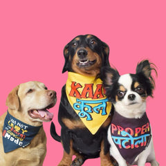 Crazy Super Saver Bandanas Pack of 3