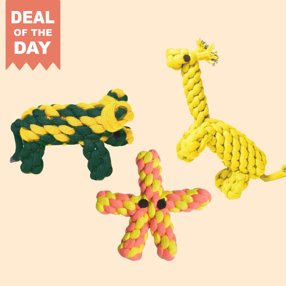 Chain Rope Toy Pack of 3 Rope toys – Pet Set Go