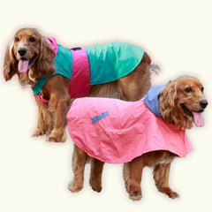 Puddle Pooch Dog Raincoats Pack of 2