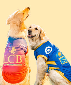 Pack of 2 IPL Dog Jersey - Striker
