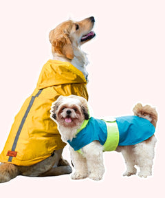Drop Dog Raincoats Pack of 2