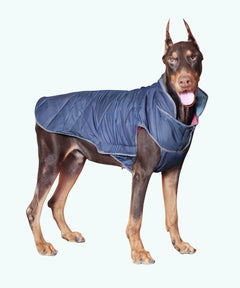 Dog Jacket-Blue
