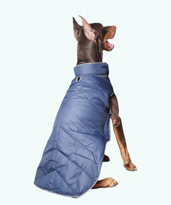 Dog Jacket-Blue