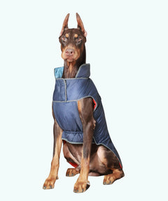 Dog Jacket-Blue