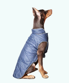 Dog Jacket-Blue