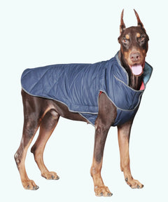 Dog Jacket-Blue