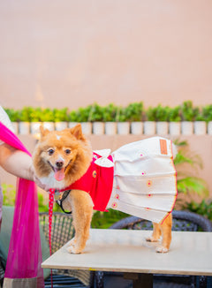 White-Pink Dog Dress