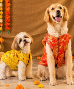 Stylish Dog Kurtas Pack of 2