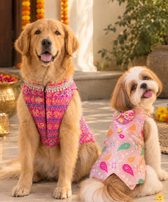 Sparkly Dog Kurtas Pack of 2