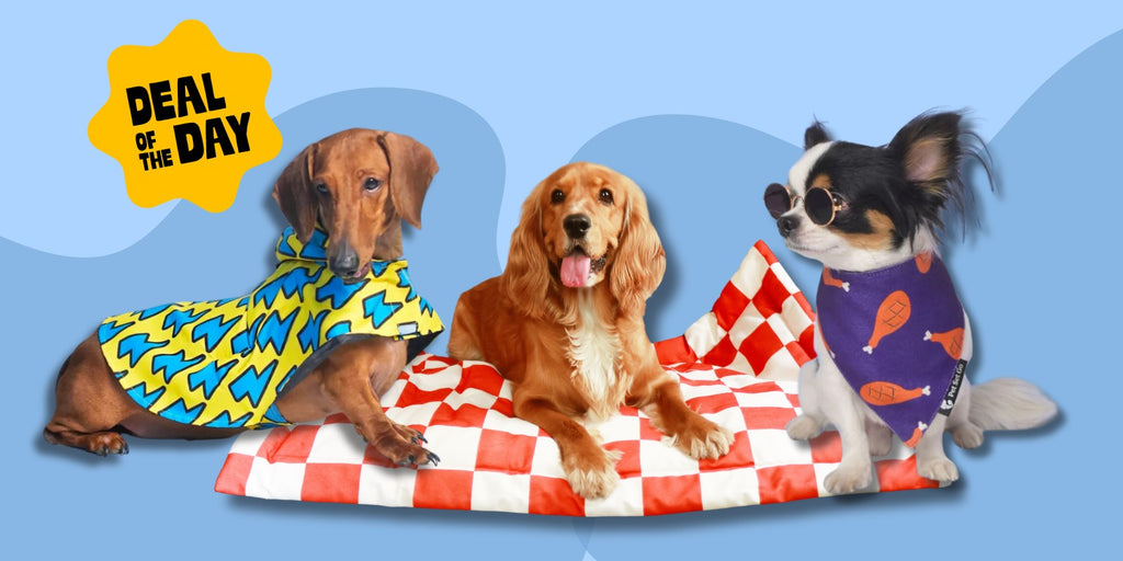 Pet Set Go - Pet Clothing, Pet Toys and Pet T-shirts