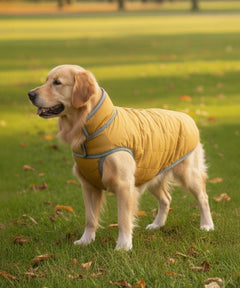 Dog Jacket
