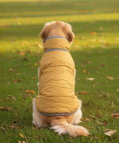 Dog Jacket