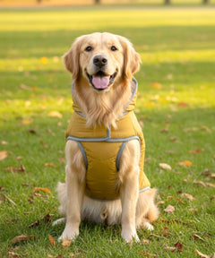 Dog Jacket