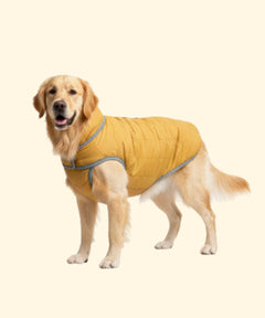 Dog Jacket