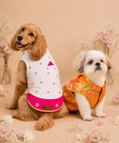 Radiant Dog Kurtas Pack of 2