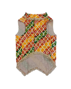 Dog Kurta with Multicolored