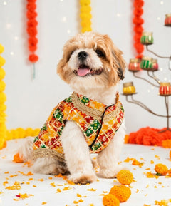 Dog Kurta with Multicolored