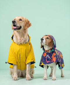Storm Saver Dog Raincoats Pack of 2