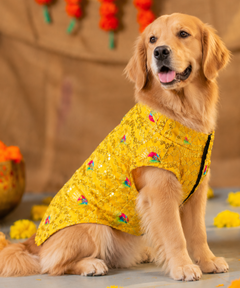 Dog Kurta Yellow