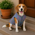 Pet Set Go Festive Dog Kurta (Blue)