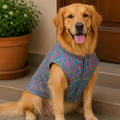 Pet Set Go Festive Dog Kurta (Blue)