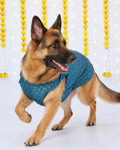 Dog Kurta with Bowtie Blue