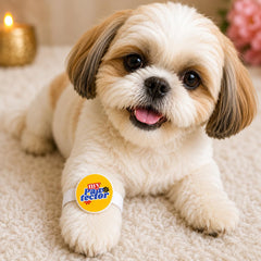 Dog Bracelet
