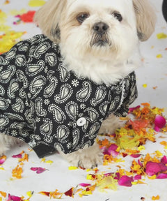 Indigo Cotton Dog Shirt