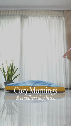 Stripes Flat Dog Bed