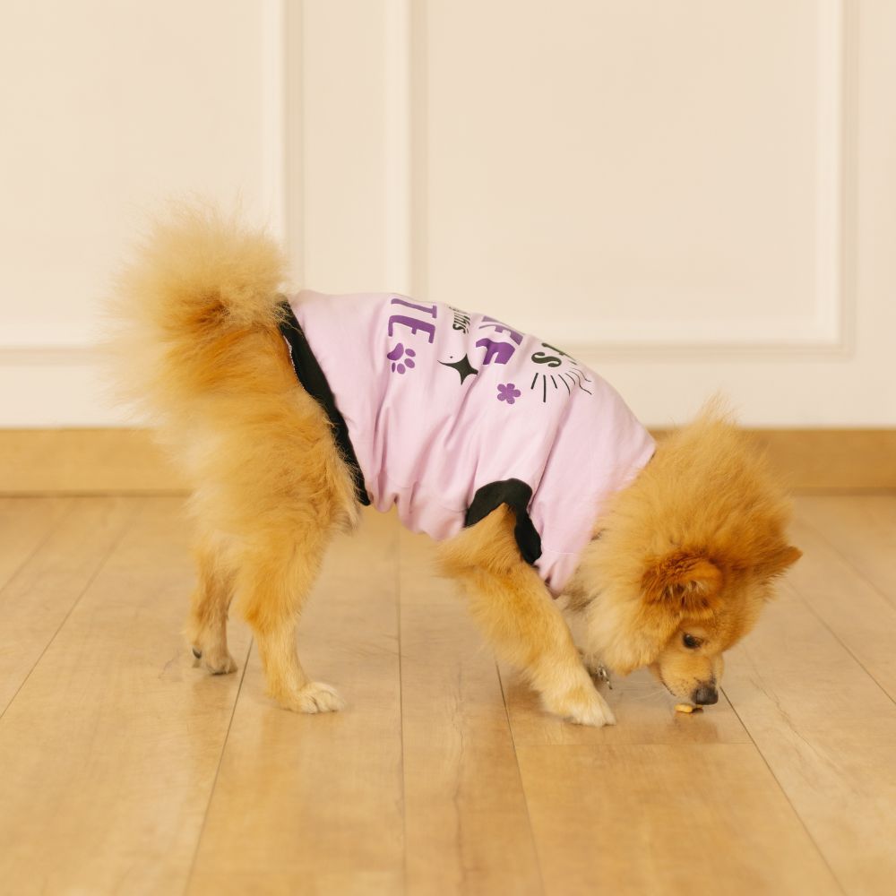 Pet Set Go - Pet Clothing, Pet Toys and Pet T-shirts