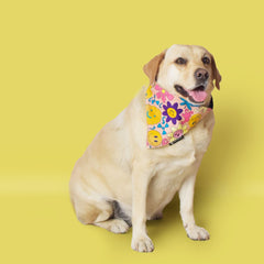 Smileys Dog Bandana