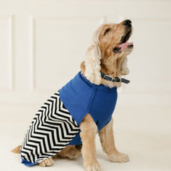 Raisin’s Sweater
